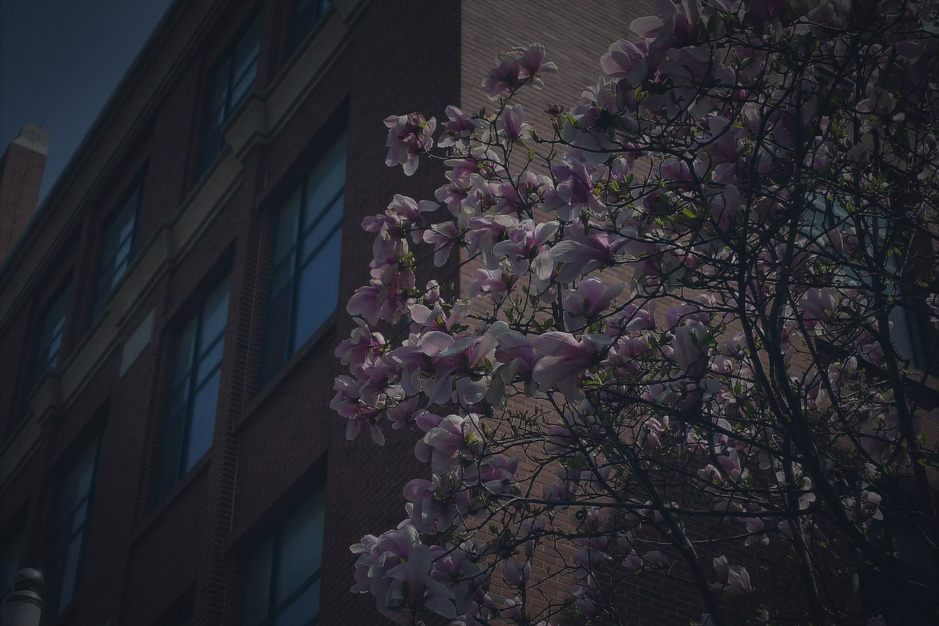 High School photograph 017, landscape