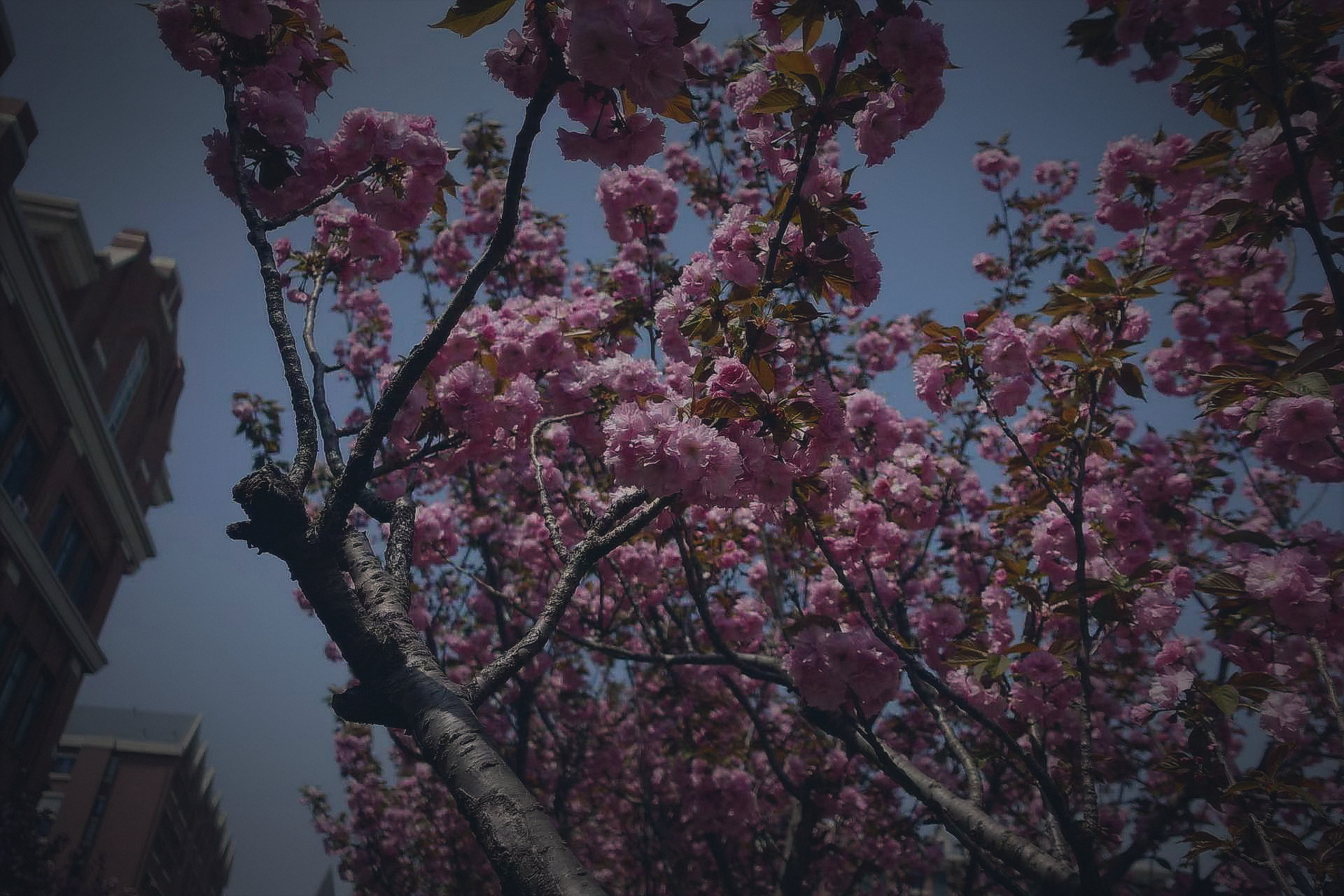 High School photograph 129, landscape