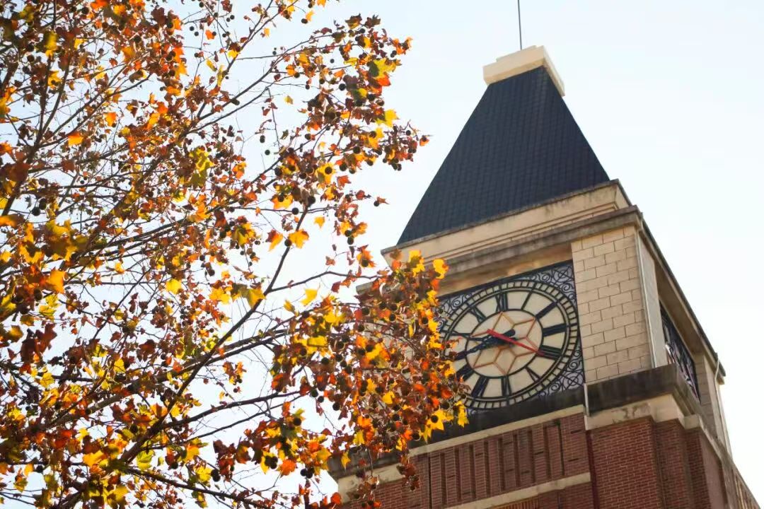 Autumn clock tower beneath leaves